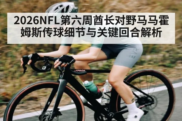 2026NFL第六周酋长对野马马霍姆斯传球细节与关键回合解析